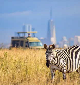 Nairobi